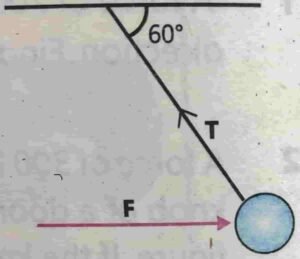 physics 9th 2025 ch 4 numerical