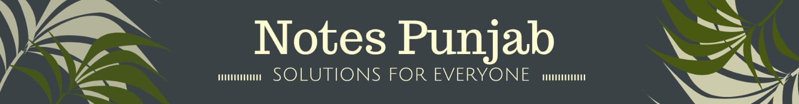 | Notes Punjab