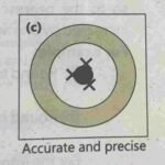 precision and accuracy | notes Punjab