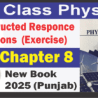 9th Physics Chapter 8 Constructed response question