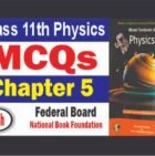 Physics 11th Chapter 5 MCQs