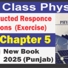 9th Class Physics Chapter 5 Constructed Response Questions